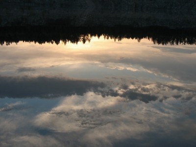 IMG_2847.jpg
