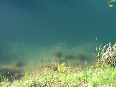 IMG_3165_resize.JPG