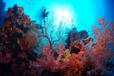 DSC_0070n1.jpg
