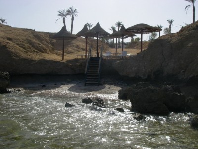 IMGP0316.jpg