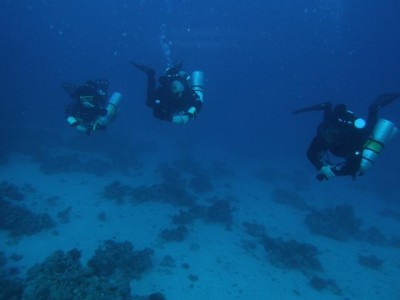 P1030015sm.jpg