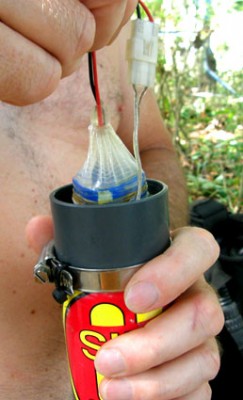 Condom.jpg
