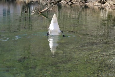 IMG_1379.JPG