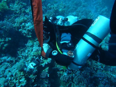 M0010302res.jpg