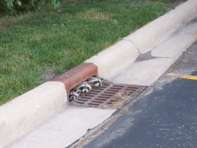 image014.jpg