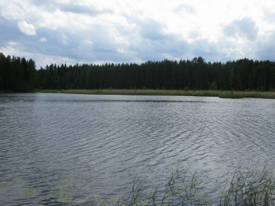 IMG_1561-t.jpg