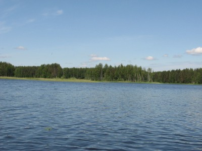 IMG_7287.jpg