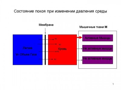 Слайд1.JPG