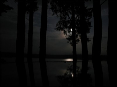 night.jpg