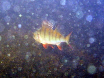 DSCN2300.jpg