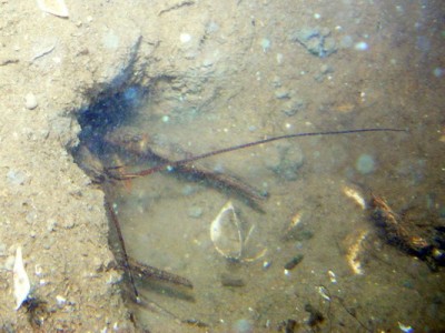 DSCN2298.jpg