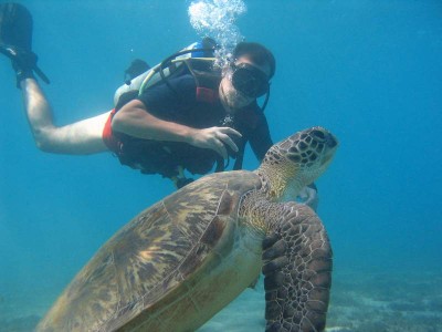 turtle_1.JPG