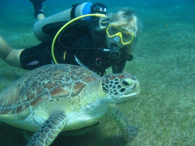 turtle_3.JPG