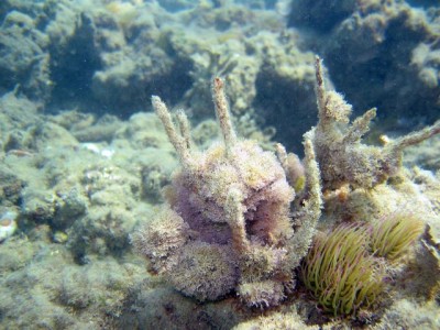 Side 0190_1.jpg