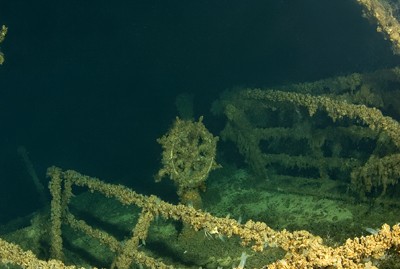CRW_5268_30x40.jpg