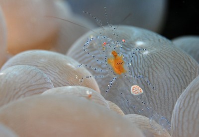 DSC_0102n1.jpg