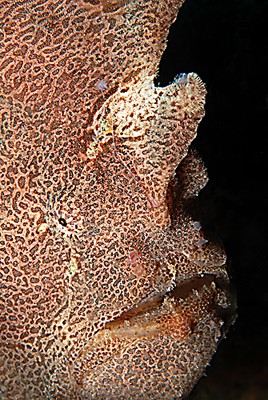 DSC_0123n1.jpg