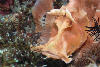 DSC_0114n1.jpg