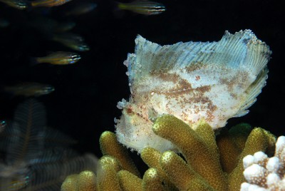 DSC_0173n1.jpg