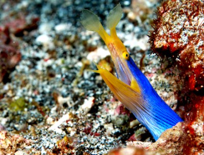 DSC_0185n1.jpg