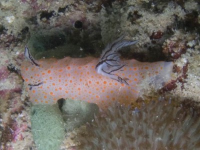 p2008-02-16_10'38'35.jpg