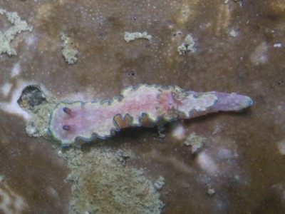 p2008-02-16_10'40'44.jpg