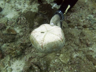 p2008-02-16_11'15'57.jpg