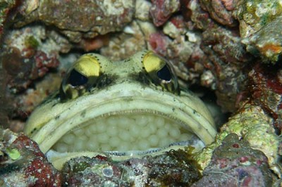 exsped12_04_204.jpg