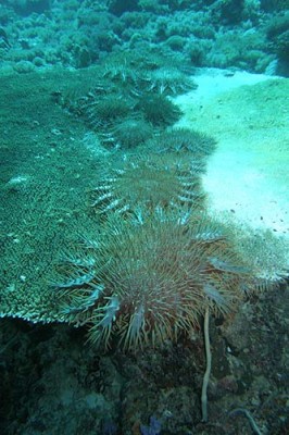 exsped12_04_209.jpg