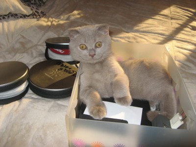 Копия IMG_0862.jpg