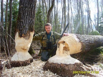 S6004984_1.jpg