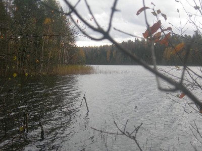 lake Brovno.JPG