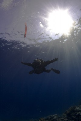 IMG_1686.jpg