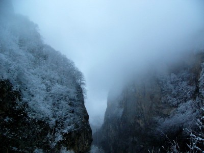 P1070212_.jpg