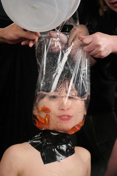 pic.jpg