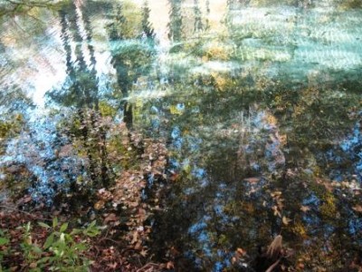 IMG_1726.JPG